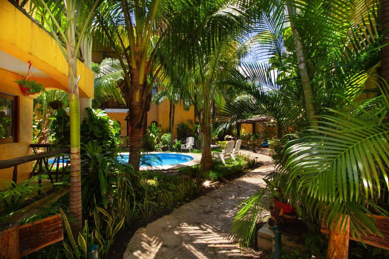 Hotel Bosque Caribe, 5Th Av. Zone Playa del Carmen Exterior photo