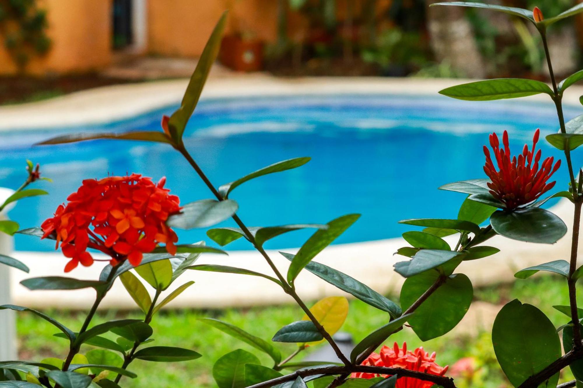 Hotel Bosque Caribe, 5Th Av. Zone Playa del Carmen Exterior photo