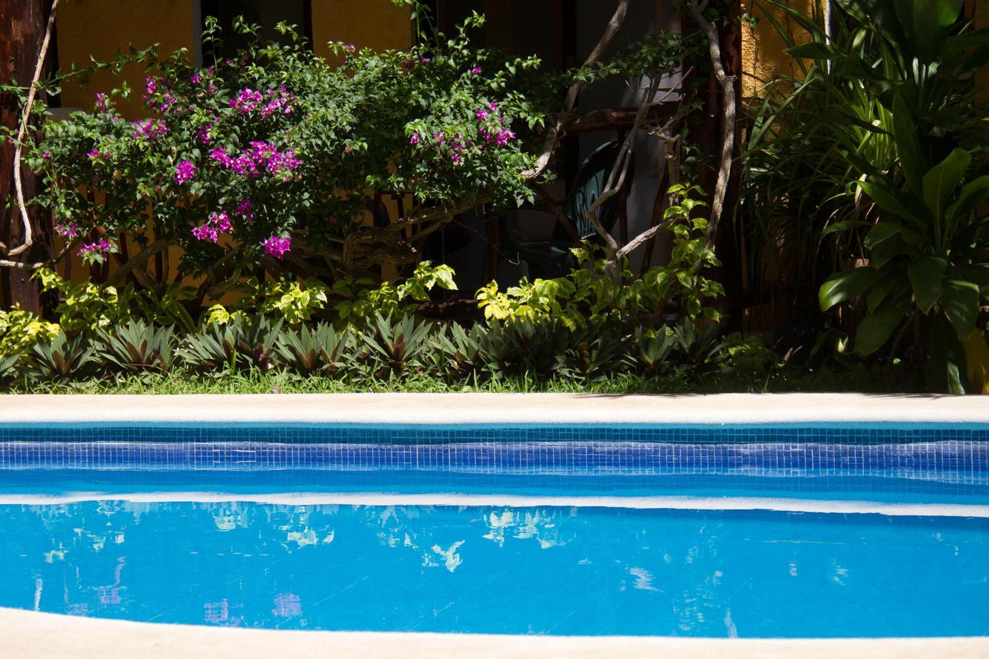 Hotel Bosque Caribe, 5Th Av. Zone Playa del Carmen Exterior photo