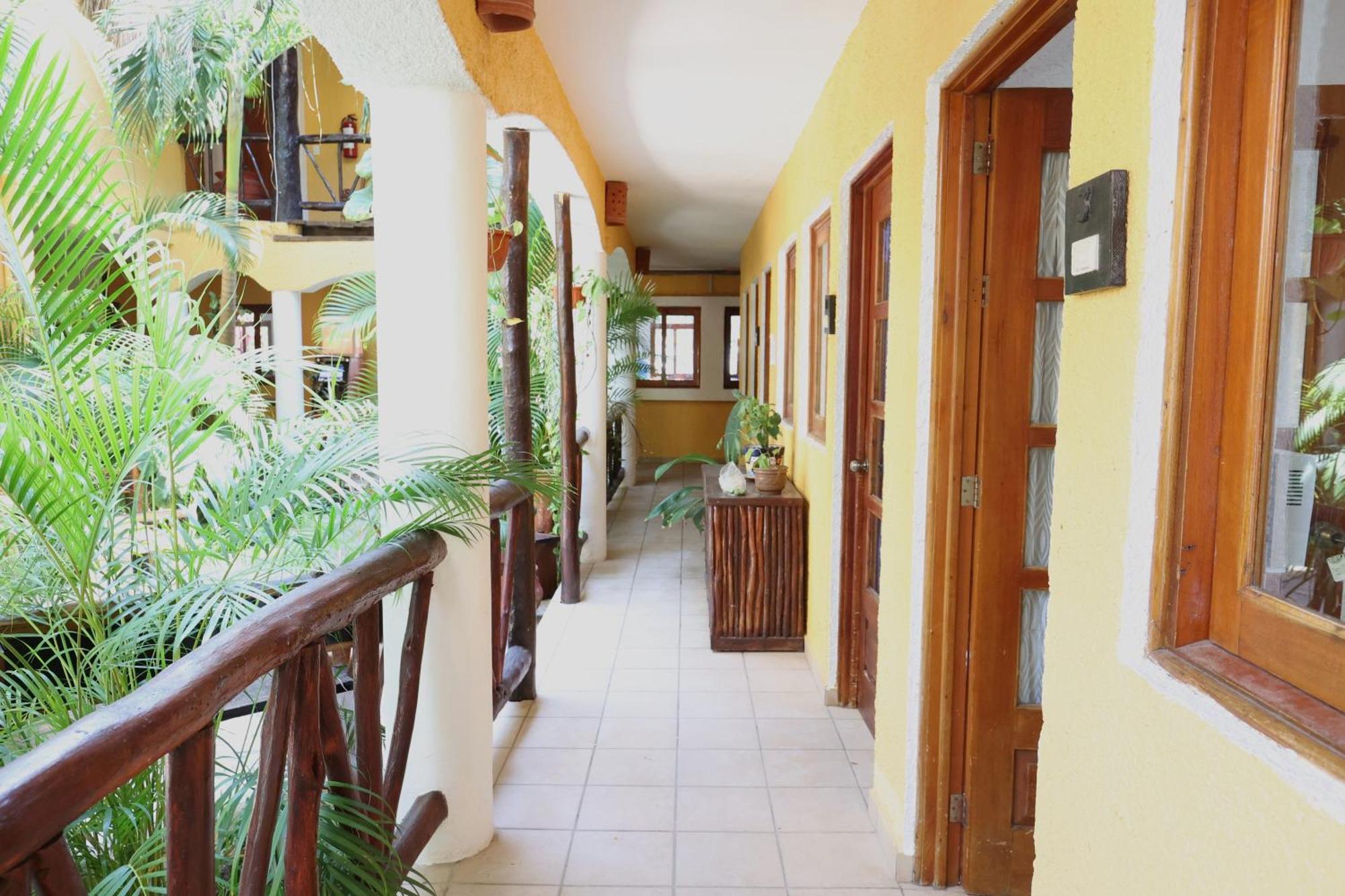 Hotel Bosque Caribe, 5Th Av. Zone Playa del Carmen Exterior photo