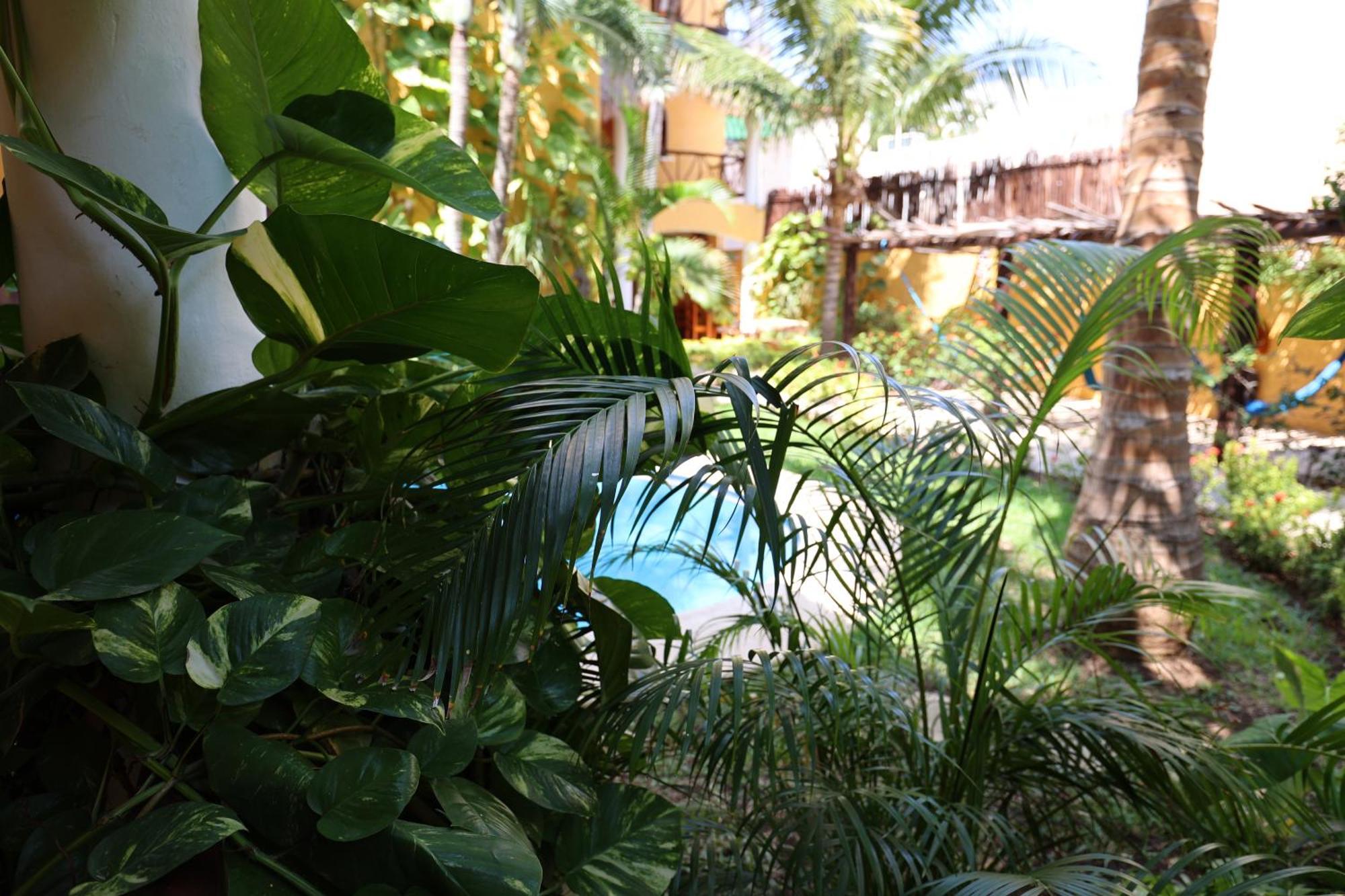 Hotel Bosque Caribe, 5Th Av. Zone Playa del Carmen Exterior photo