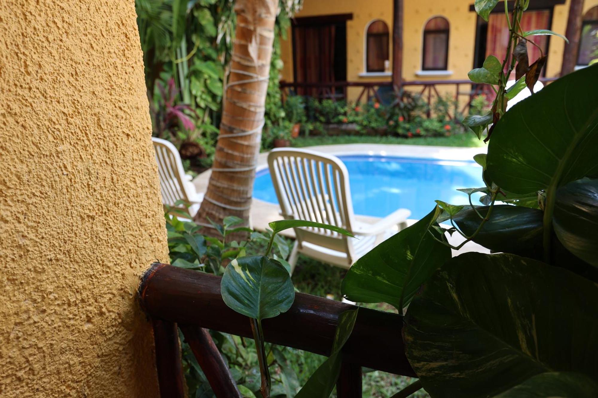 Hotel Bosque Caribe, 5Th Av. Zone Playa del Carmen Exterior photo