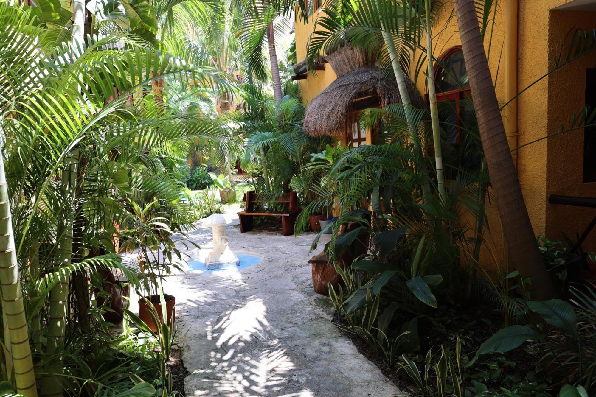 Hotel Bosque Caribe, 5Th Av. Zone Playa del Carmen Exterior photo